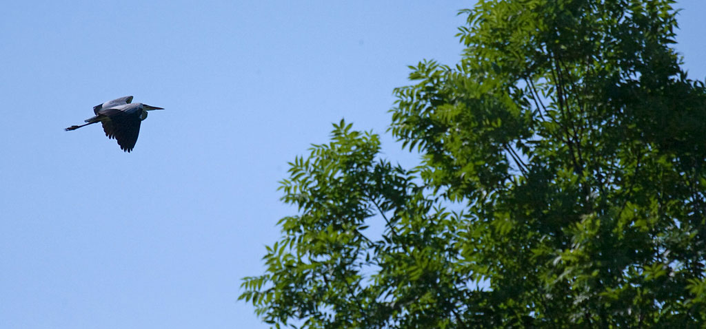 Familien Kanu Tour Altmühl