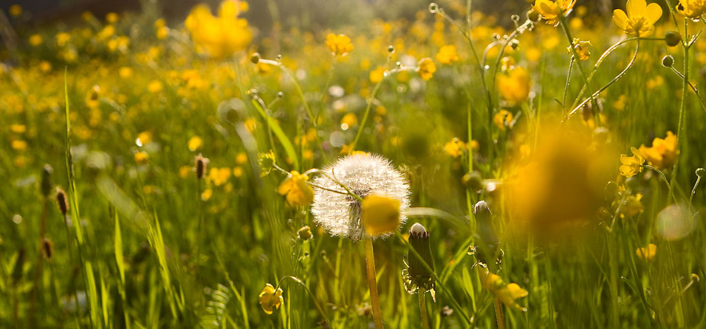 Familien Erlebnis Urlaub im Ötztal